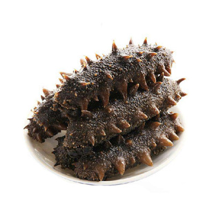 乐扬大连半干海参500g拉缸盐辽参刺参冷冻鲜活水产辽宁特产