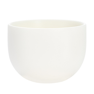 「上下一白」家用二两酒杯 100ML白酒黄酒杯 陶瓷酒盏品酒杯