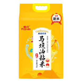 舶元马坝油粘米原粮广东韶关南方籼米5kg地标米煲仔饭真空锁鲜