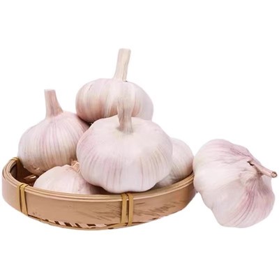 【新干蒜】干大蒜头5斤河南农家自种200g起蒜紫白皮大蒜大蒜头家