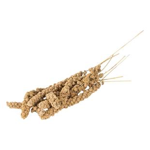 鹦鹉天然谷穗带壳黄谷子玄凤牡丹专用粮食学吃饲料鸟粮鸟类小零食