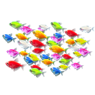 天使鱼观赏鱼耐活鱼热带鱼不打氧好养耐活自来水宠物纯种鱼苗