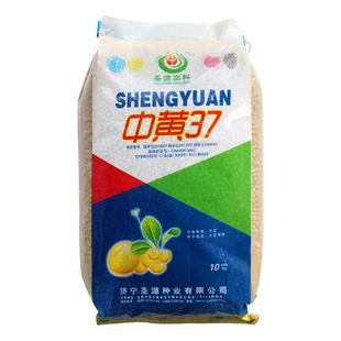 中黄13大豆种子黄豆种子高产抗病抗倒伏春夏旱毛豆种籽孑基地大田