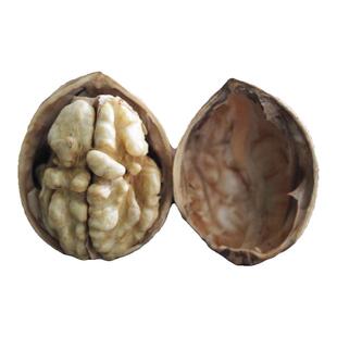 新疆纸皮核桃2025新货阿克苏185纸皮生核桃新鲜原味孕妇专用薄皮