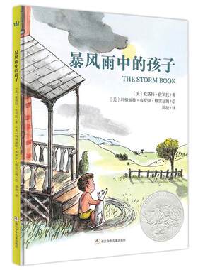 当当网童书 暴风雨中的孩子（奇想国童书）儿童绘本漫画书小学生课外阅读书籍睡前故事书幼儿一二三四五六年级6-8-10-12岁
