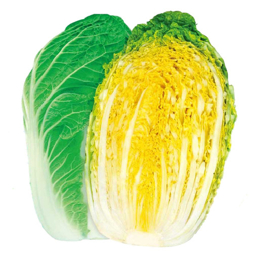 山东黄心秋大白菜种子种籽孑菜种四季秋季冬季籽种蔬菜老品种大全