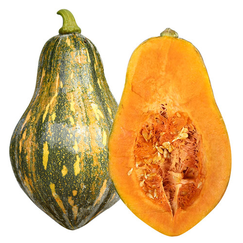 金香香芋南瓜种子种籽籽甜糯小南瓜粉甜香香芋味蔬菜苗孑秧苗带土