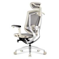 Ergoup/有谱 致炫人体工学椅电脑椅家用办公椅老板护腰椅靠背可躺