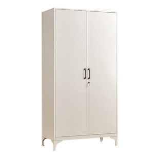 高脚阳台储物柜杂物柜带顶柜家用铁皮衣柜防水防晒靠墙置物收纳柜