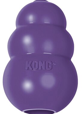 美国KONG经典耐咬漏食球玩具