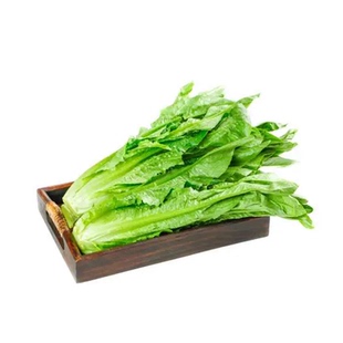 云南新鲜油麦菜新鲜蔬菜当季时令火锅青菜一整箱价格便宜数量多多