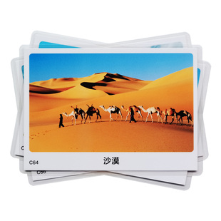 场所场景认知卡片 幼儿童孤独自闭症ABA语言迟缓训练康复教学教具