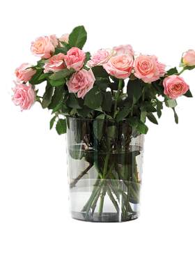 【ins风高颜值】亚克力醒花桶