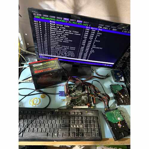 型号WD1005FBYZ