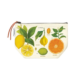 美国cavallini 收纳袋笔袋复古美式学生大容量多功能手帐收纳包