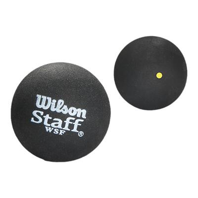Wilson/威尔胜专业训练壁球