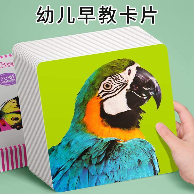 11黑白卡片婴儿早教卡新生视3宝宝个卡玩具月益智追激发的到视觉0