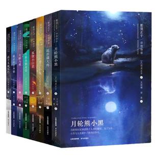 【全8册 】动物小说系列那须正干动物物语 8-12-15岁儿童文学小说故事书三四五六年级中小学生课外阅读书籍 流浪猫大将 月轮熊小黑