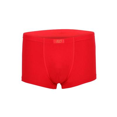 本命年红色属蛇年浪莎