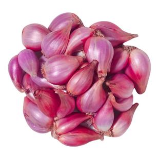 正宗广东红葱头红皮干小香葱紫皮葱食用香料种子炸葱油酥新鲜包邮
