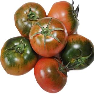 草莓番茄种子嘎啦果绿肩绿腚西红柿种籽丹东铁皮柿子番茄苗子英朗