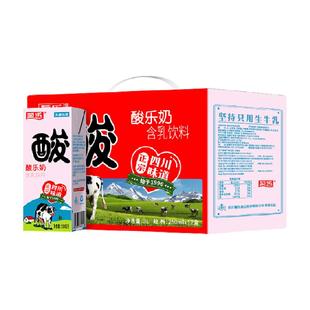 菊乐酸乐奶儿童饮料生牛乳制造礼盒装整箱早餐奶风味牛奶酸奶