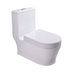 现代蹲坐两用马桶一体虹吸式坐便器改蹲便台式可蹲可坐二合一坐厕