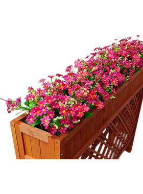 户外套装绿植花箱插花小雏菊
