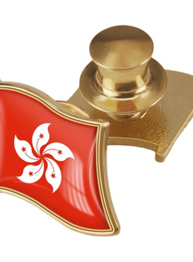 香港特别行政区旗帜胸章世界各国旗帜商务徽章襟章精美配饰