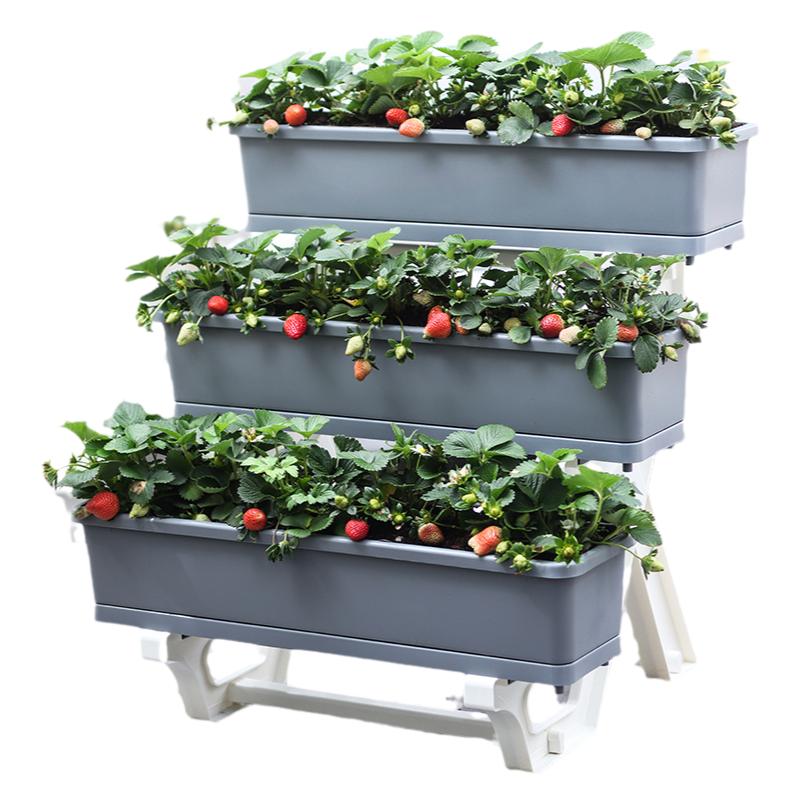 支架多层阳台种菜家庭种植蔬菜