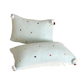 ins可爱卡通猫咪加厚保暖羊羔绒牛奶绒枕头枕芯枕套48x74cm一对装