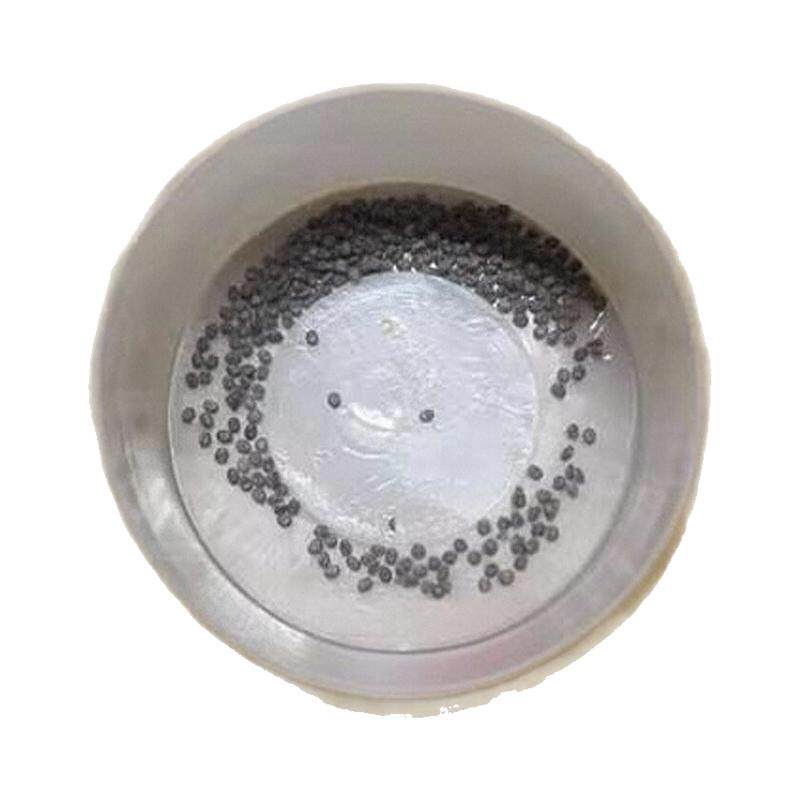 蚕卵套装蚕宝宝金丝蚕卵送桑叶