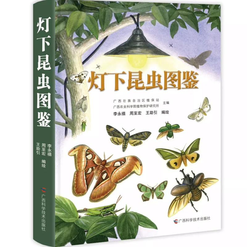 【旗舰正版】灯下昆虫图鉴 收录409种中国常见农业昆虫 手绘彩图昆虫大众科普9-12-15青少年儿童中小学生课内外阅读科普读物图书籍