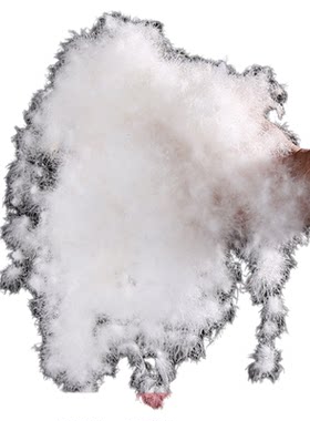 散装国标原料填充物优质中朵羽绒
