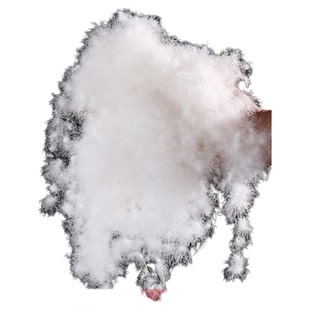 散装羽绒国标90大朵白鸭绒服95鹅绒被原料填充物优质中朵小朵绒毛