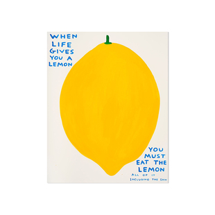 David Shrigley趣味水果装饰画芯油画布餐厅艺术冰箱海贴制照片墙