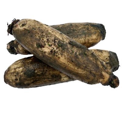 【正宗洪湖粉藕】现挖顺丰包邮