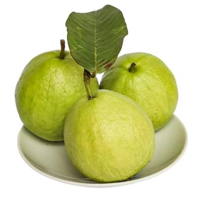 新鲜水果白心芭乐番石榴孕妇水果