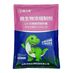 绿陇陇力奇贝莱斯芽孢杆菌微生物菌剂浓缩制剂减少土传问题生根