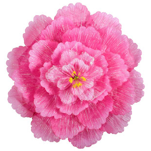 牡丹花伞儿童舞蹈伞道具成人舞蹈道具运动会入场道具开幕式手拿花