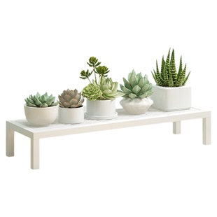 花架子客厅单层多肉窗台铁艺小盆栽托架白色阳台实木置物架落地式