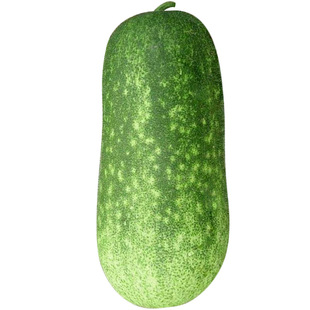 节瓜种籽种春季秋季阳台爬藤蔬菜四季迷你小冬瓜高产毛节瓜种子孑