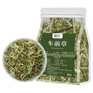 车前草正品新货独立包装非野生干货泡水喝的功效与作用泡茶花茶叶