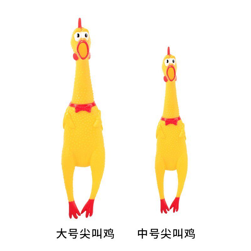 接亲伴郎跳绳踩指压板伏地挺身