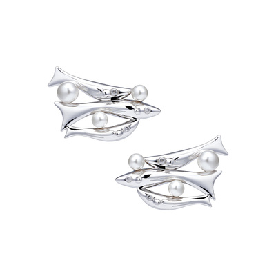 FWISH925纯银女设计师款耳钉耳环