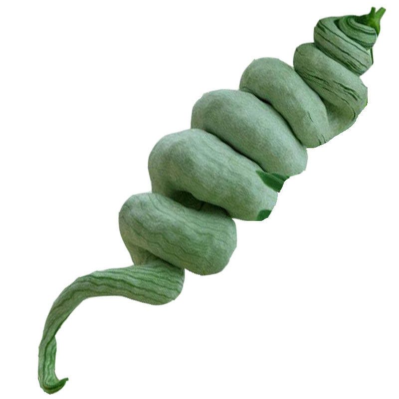 蛇瓜四季观赏特菜盆栽一年生种子