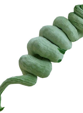 蛇瓜四季观赏特菜盆栽一年生种子