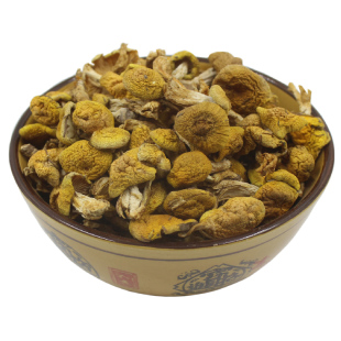 野生东北特产小黄蘑菇特干货级干松蘑250g新鲜黄油蘑小鸡炖阿尔山