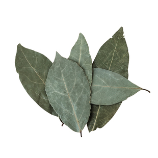 新鲜月桂叶特级香叶片足干香料香桂叶家用桂皮八角肉桂卤炖调料