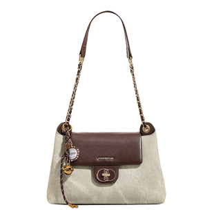 香港品牌小众轻奢腋下包包女2026新款质感大容量链条单肩斜挎包